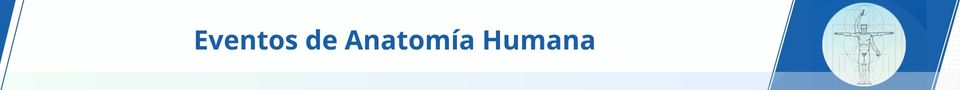 Anatomía Humana